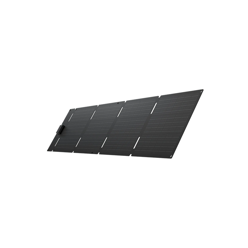 Carregar imagem no visualizador da galeria, Painel Solar Portátil EcoFlow de 60W (USB tipo C)