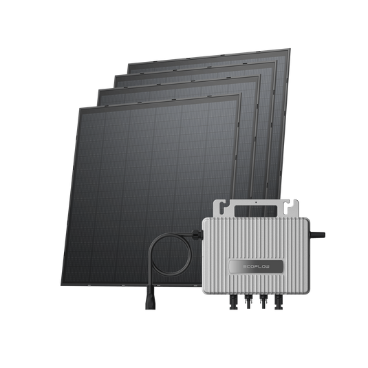 Sistema Solar EcoFlow Kit Básico 1000W