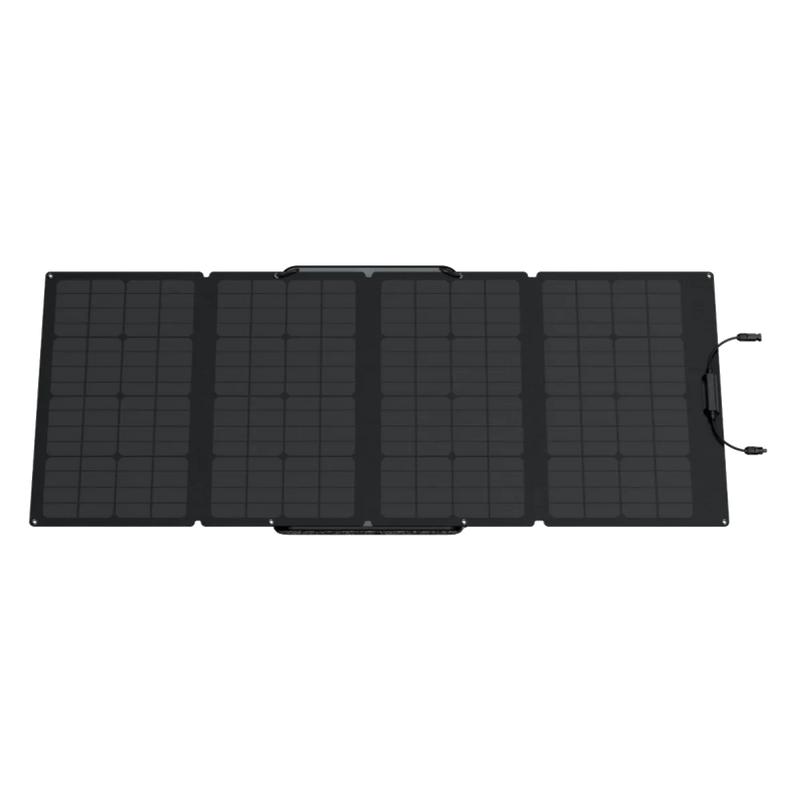 Carregar imagem no visualizador da galeria, Gerador Solar EcoFlow DELTA 2 (PV160W)
