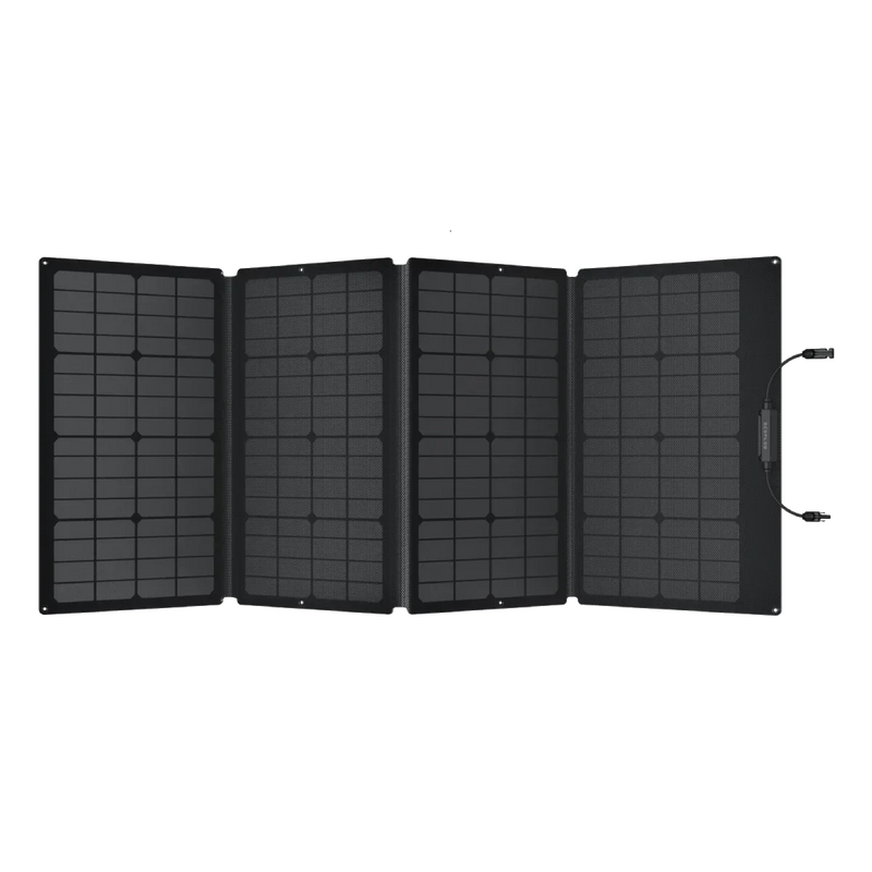 Carregar imagem no visualizador da galeria, Gerador Solar EcoFlow DELTA 2 Max (PV160W)
