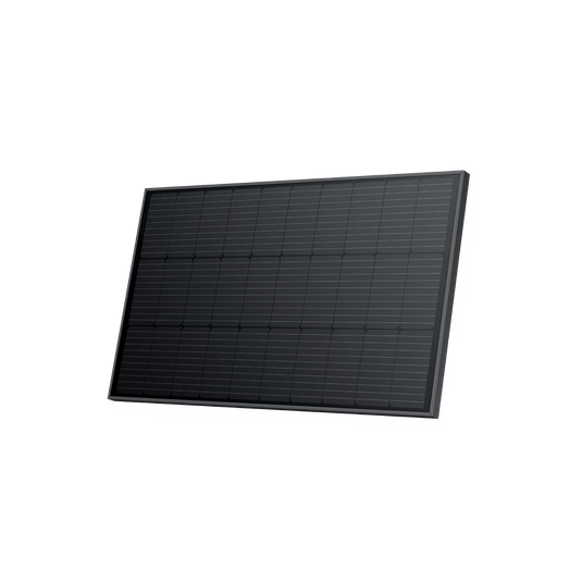 Painel Solar EcoFlow de 100W (2 unidades)
