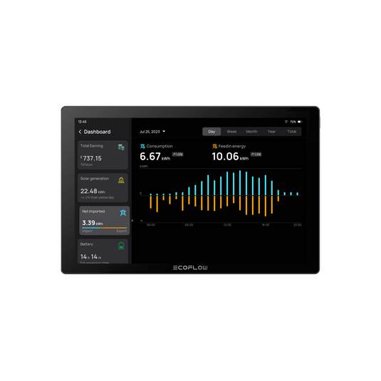 Monitor de Energia Doméstico EcoFlow PowerInsight