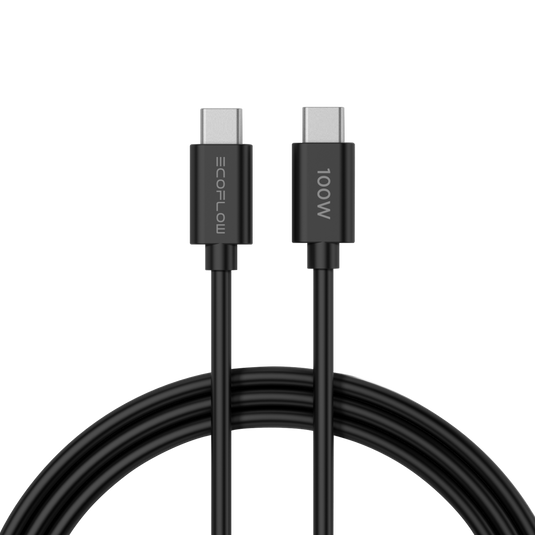 Carregador EcoFlow RAPID Charger 65W GaN
