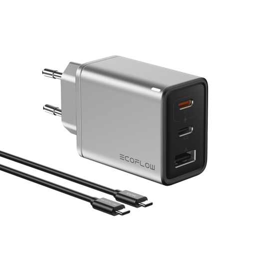 Carregador EcoFlow RAPID Charger 65W GaN