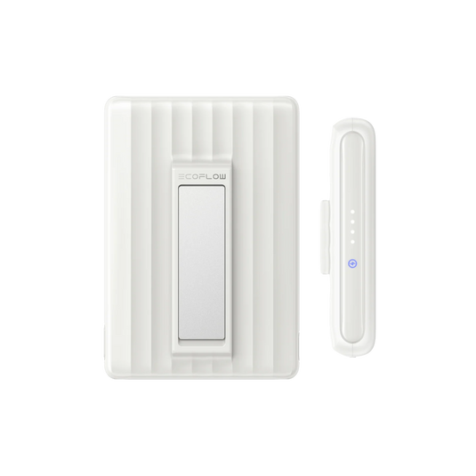 PowerBank EcoFlow Rapid Mag 10000mAh 30W