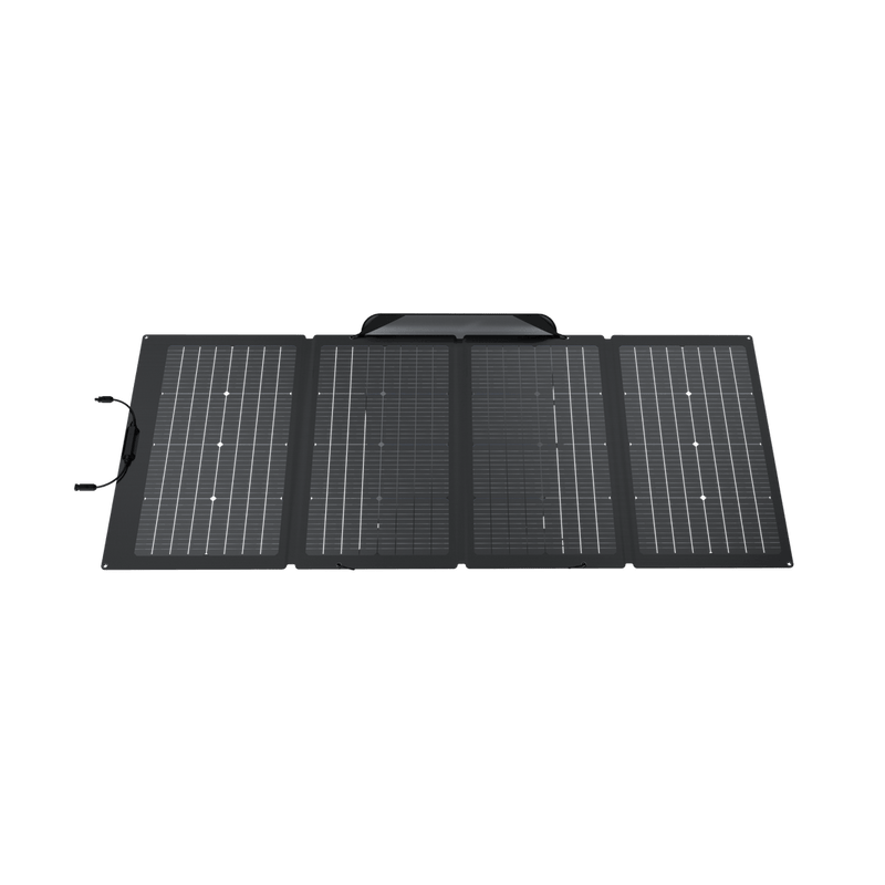 Carregar imagem no visualizador da galeria, Painel Solar Portátil EcoFlow de 220 W
