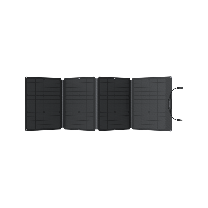 Carregar imagem no visualizador da galeria, Painel Solar Portátil EcoFlow de 110 W
