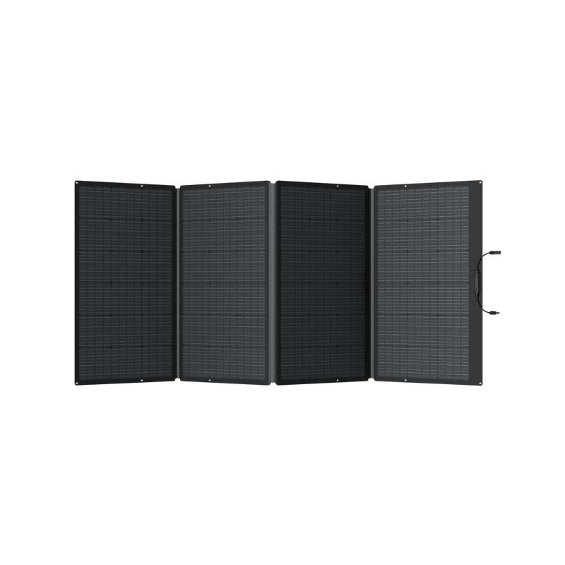 Carregar imagem no visualizador da galeria, Painel Solar Portátil EcoFlow de 400 W
